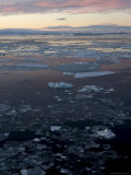 Pack Ice and Iceberg, Antarctic Peninsula, Weddell Sea, Antarctica, Polar Regions