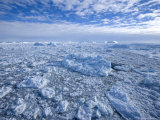 Pack Ice and Icebergs, Antarctic Peninsula, Weddell Sea, Antarctica, Polar Regions
