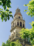 Buy Bell Tower, Cordoba, Andalucia (Andalusia), Spain, Europe at AllPosters.com