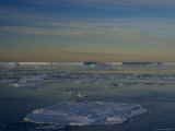 Pack Ice and Iceberg, Antarctic Peninsula, Weddell Sea, Antarctica, Polar Regions