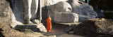 Buddhist Monk at the Gal Vihara, Polonnaruwa (Polonnaruva), Sri Lanka, Asia