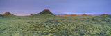 Buy Mini Volcanos at Altverer, Iceland, Polar Regions at AllPosters.com