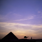 Buy Camel and Pyramid in Silhouette, Giza, Near Cairo, Egypt, North Africa, Africa at AllPosters.com