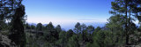 Buy View West from Parque Natural De Tanadaba on Gran Canaria, Spain, Atlantic Ocean at AllPosters.com