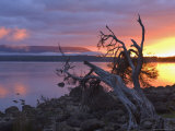 Sunrise, Lake St. Clair, Cradle Mountain Lake St. Clair National Park, Tasmania, Australia
