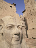 Statue of the Pharaoh Ramses II, Luxor Temple, Thebes, Unesco World Heritage Site, Egypt