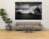 White Horse Swimming