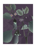 Buy Eggplant Evening at AllPosters.com