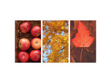 Buy Autumn Apple Basket at AllPosters.com