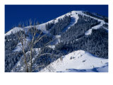 Peak of  Baldy  Ski Mountain, Sun Valley, Idaho, USA