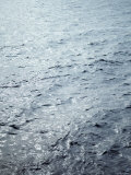 Buy Timeless Sea at AllPosters.com