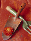Trowel and Blossom