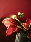 Ruby Tulips Brown Vase