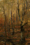 Into The Forest I Limited Edition