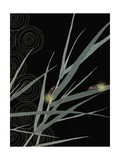 Bamboo and Fireflies