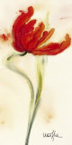 Buy Tulipe I at AllPosters.com