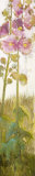 Buy Triptyque Rose Tremiere II at AllPosters.com