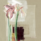 Amaryllis Japonisant
