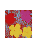Flowers, c.1970 (Red, Pink, Yellow)
