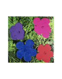 Flowers (Purple, Blue, Pink, Red)