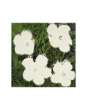 Flowers, c.1964 (White) Art Print