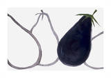 Aubergines