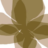 Flowers, c.2007