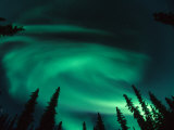 Aurora Borealis Swirling in the Night Sky, Alaska