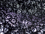 Buy Close View of Water Droplets on a Spider Web, Groton, Connecticut at AllPosters.com
