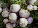 Bunch of Turnips for Sale at a Road-Side Market