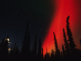 Aurora Borealis in the Night Sky, Alaska