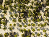 Buy Beautiful Coastal Village with Groves of Coconut Palms, Mozambique at AllPosters.com