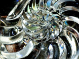 Close-Up of Glass Chambered Nautilus Shell, Groton, Connecticut