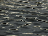 Buy Abstract View of Sun Reflecting on the Rippled Water Surface, Mystic, Connecticut at AllPosters.com