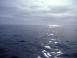 Buy Calm Ocean with Small Ripples Reflects a Sunbeam Off the Surface, Australia at AllPosters.com