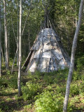 Birch Bark Teepee in the Woods