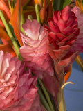 Buy Colorful Tropical Flowers at Farmers Market Waimea Bay, Hawaii at AllPosters.com