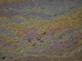 Close-Up of a Parking Lot Oil Slick in the Rain, New Mexico
