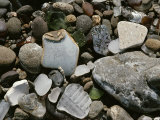 Buy Close View of Glass and Ceramic on Glass Beach, A Former Dump Site, California at AllPosters.com
