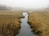 Early Morning Cape Cod Marsh Scene, Chatham, Cape Cod, United States, Massachusetts