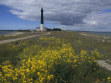 Estonia, Saaremaa: Landscape of Lighthouse