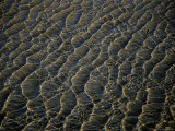 Buy Close View of the Sandy Bottom of the Savage River, Alaska at AllPosters.com