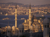 Golden Horn from Suleymaniye Mosque Complex, Istanbul, Turkey