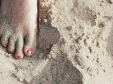 Buy Foot with Pink Toenails in the Sand on a Beach, Hawaii at AllPosters.com