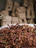 Dried Red Peppers in Front of Traditional Chinese Dog Carvings, Qilian Mountains, China