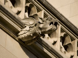 Buy Dragonlike Gargoyle, Washington, D.C. at AllPosters.com