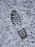 Buy Footprint in the Snow at AllPosters.com