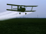 Buy Crop Duster Flies over a Field, California at AllPosters.com