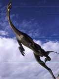 Royal Tyrrell Museum Paleontology, Struthiomimus Model Dinosaur