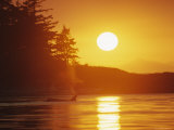 Distant Killer Whale is Seen in the Light of a Setting Sun